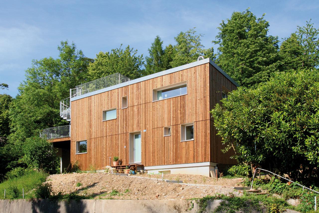 Architektur-Reportage Uitikon Waldrand: das holzverkleidete Haus steht komplett im Grünen