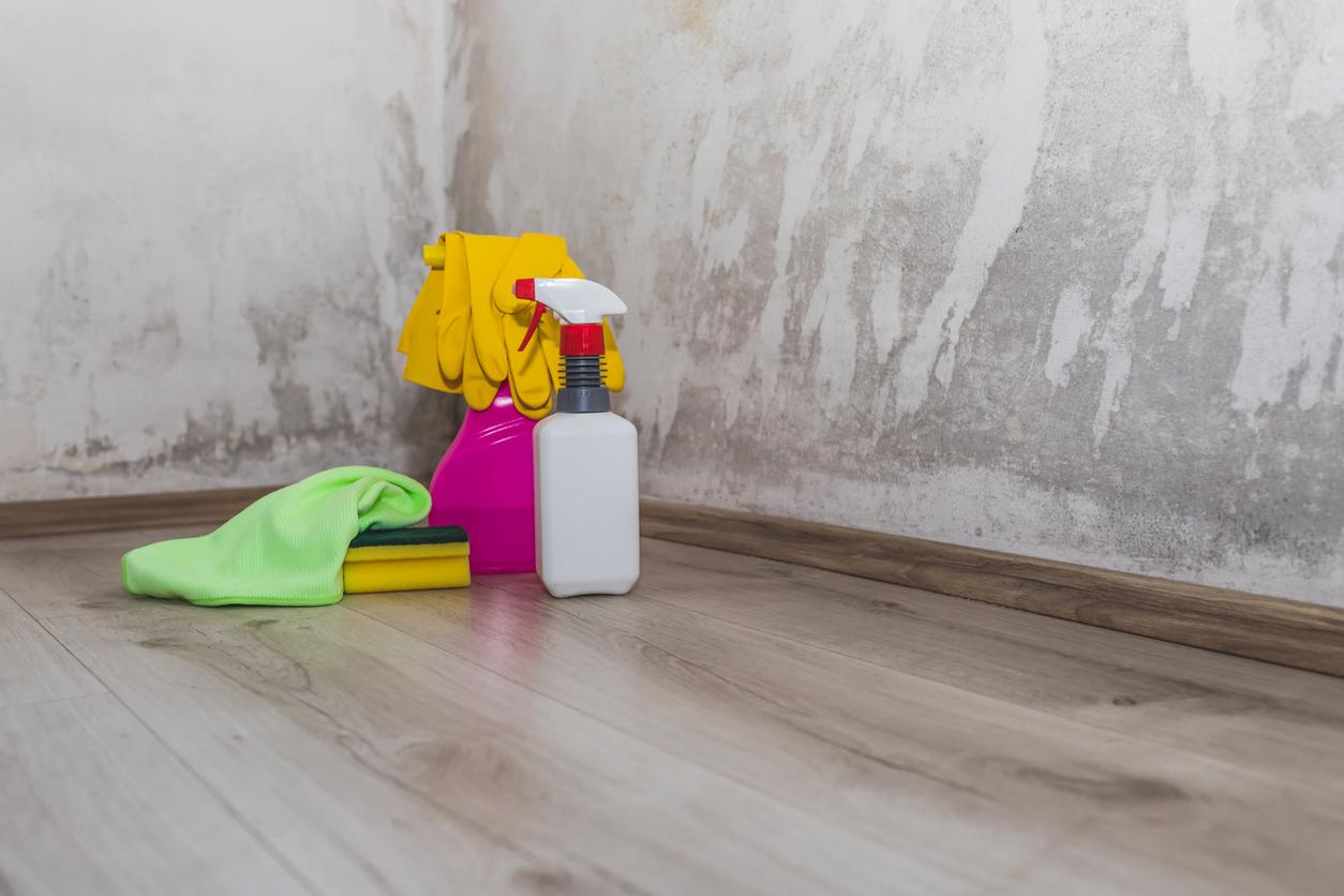 Pour éliminer les moisissures de façon efficace, il faut disposer du bon produit de nettoyage et des outils appropriés.