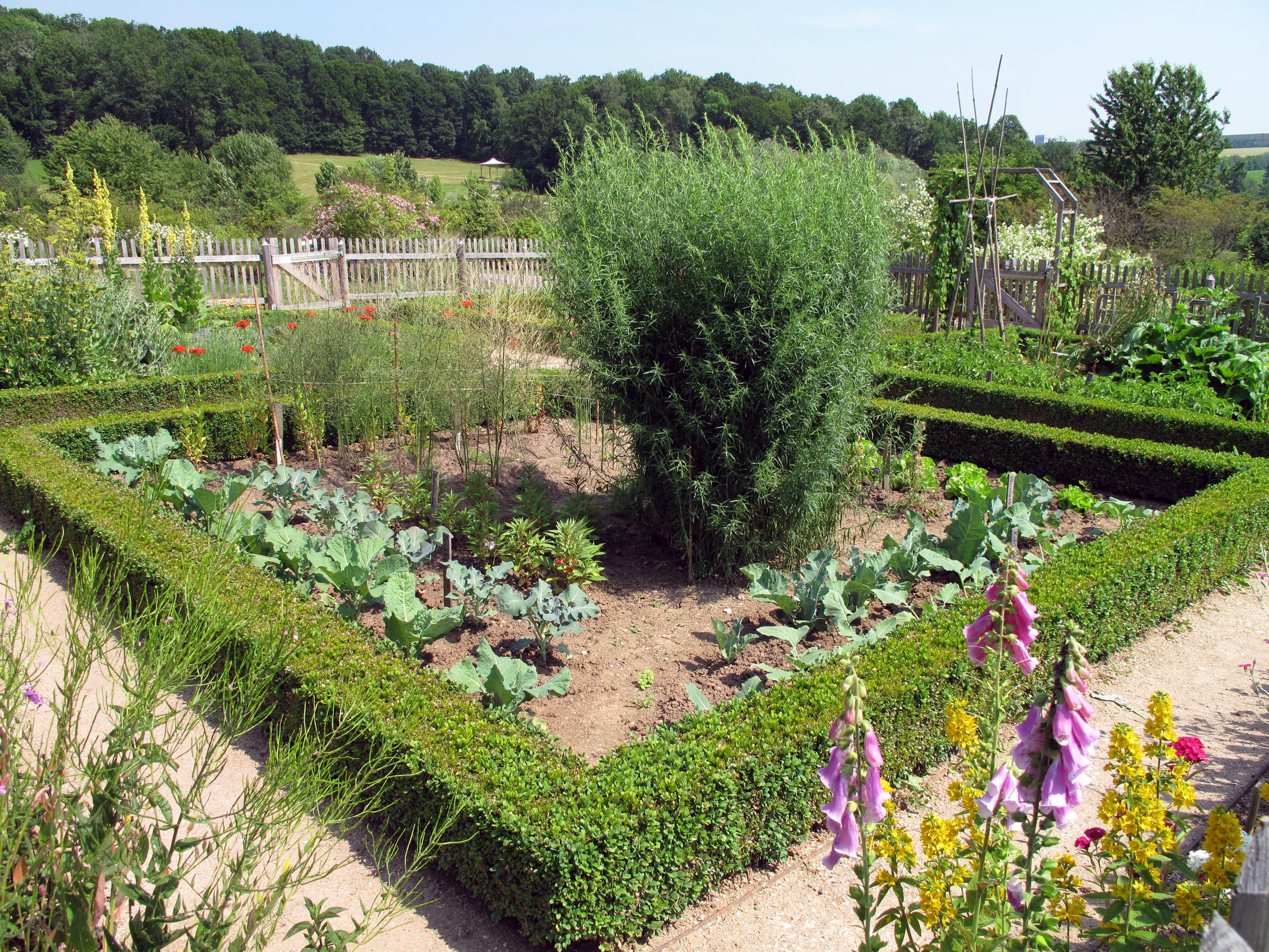  Ein romantischer Bauerngarten mit bunten Blütenträumen, feinem Gemüse und aromatisch duftenden Kräutern ist ein besonderes Gartenparadies. 