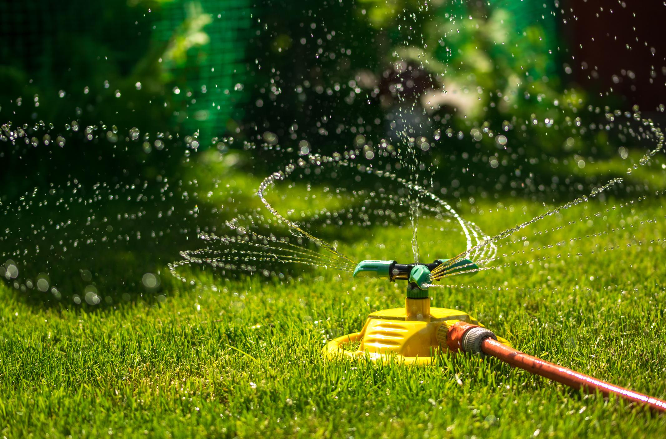 Des systèmes d'irrigation automatiques pour arroser votre jardin