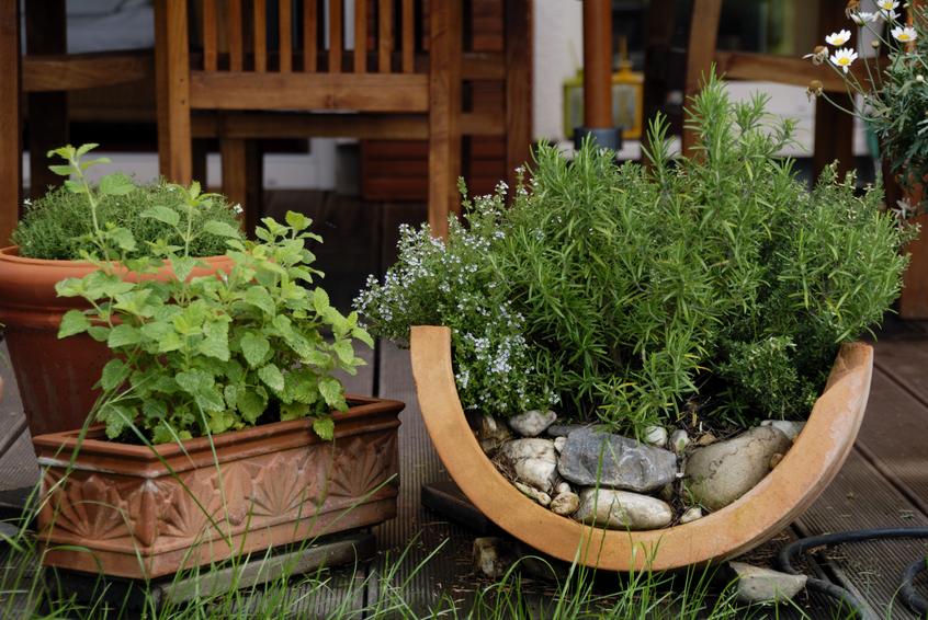 installez de jolis pots avec de la lavande et des herbes afin de recréer les senteurs du sud chez vous. 