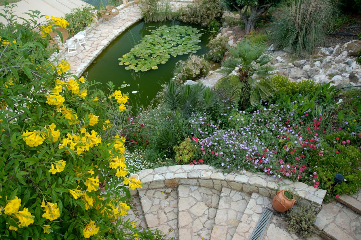 Mediterraner Garten gestalten - hausinfo