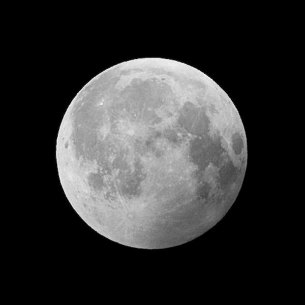 Jardiner selon le calendrier lunaire : pleine lune