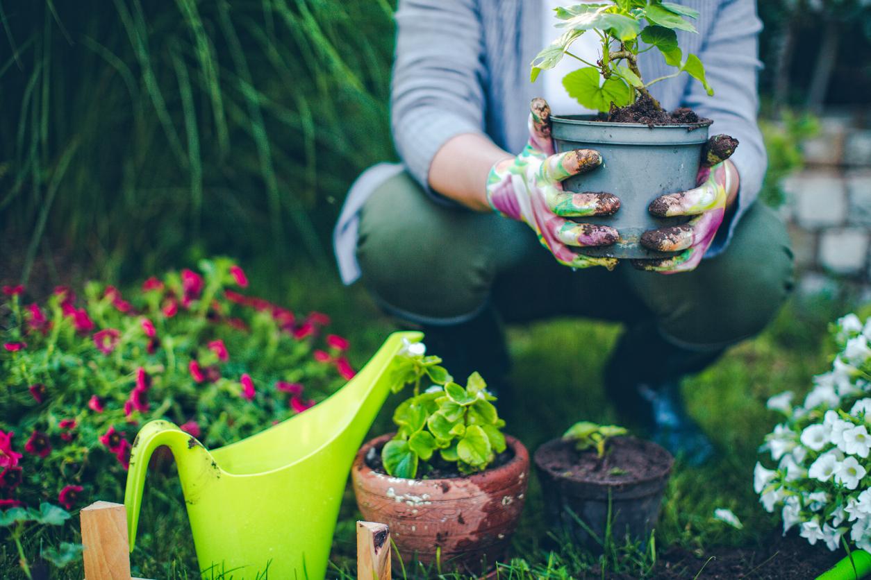  Unsere Tipps für Gartenanfänger