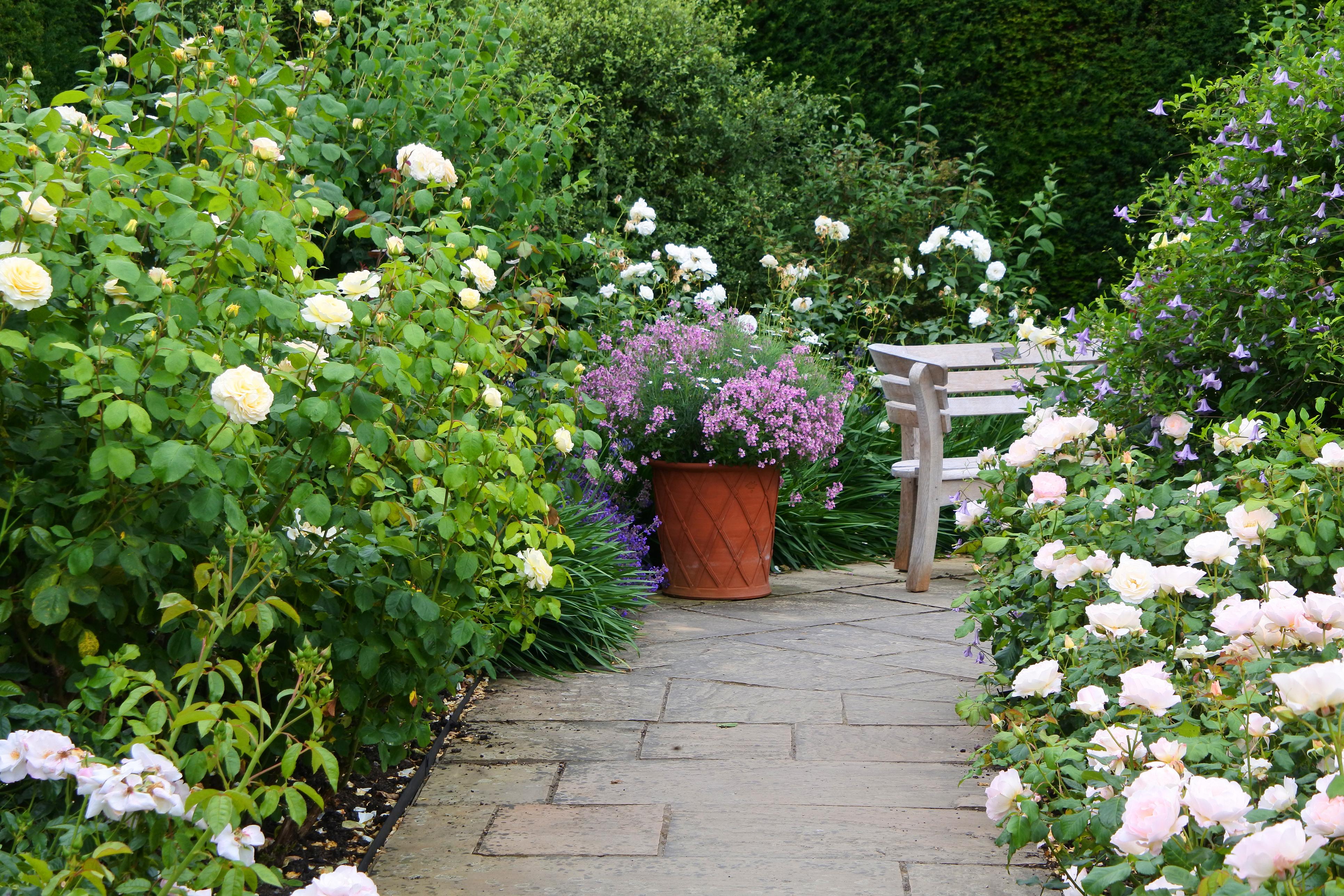 . Des bandes de fleurs aménagées avec soin le long de la maison ou d’un chemin, des murs et des clôtures sont particulièrement attrayantes et prennent très peu de place. 